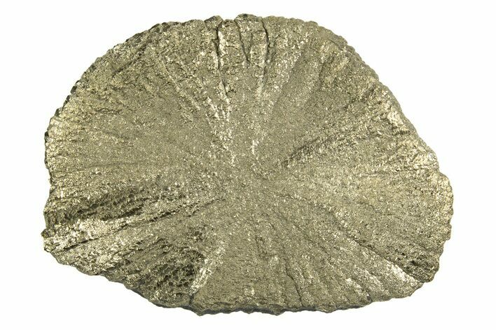 Radiant Pyrite Sun - Sparta, Illinois #342577
